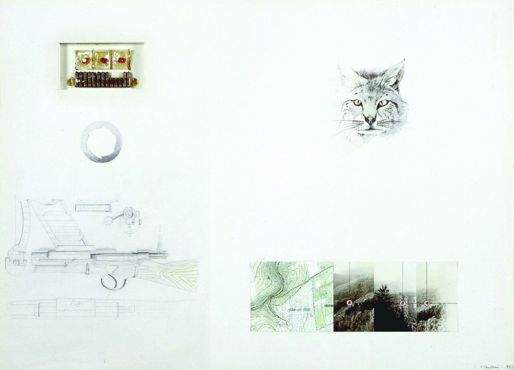 Pierre Courtois . "Trois chats sauvages" . Dessin, photos, carte et balles . 60 x 84 cm . 1973