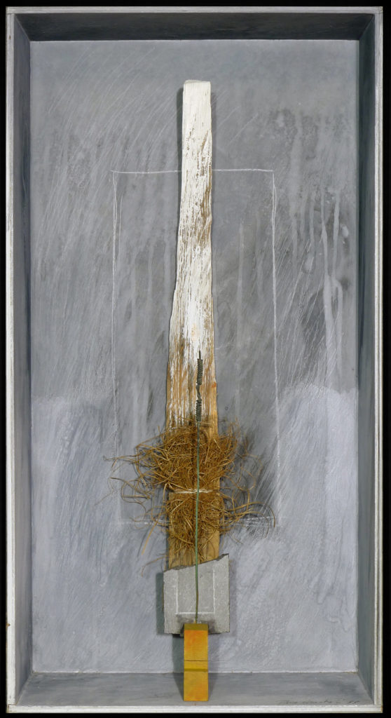 Pierre Courtois · Sans titre · Boîte, technique mixte · 60 x 30 x 11 cm · 1988