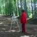 Pierre Courtois - Obscure clarté – installations in situ dans le parc du Château de Jehay (BE) Détail - 2006