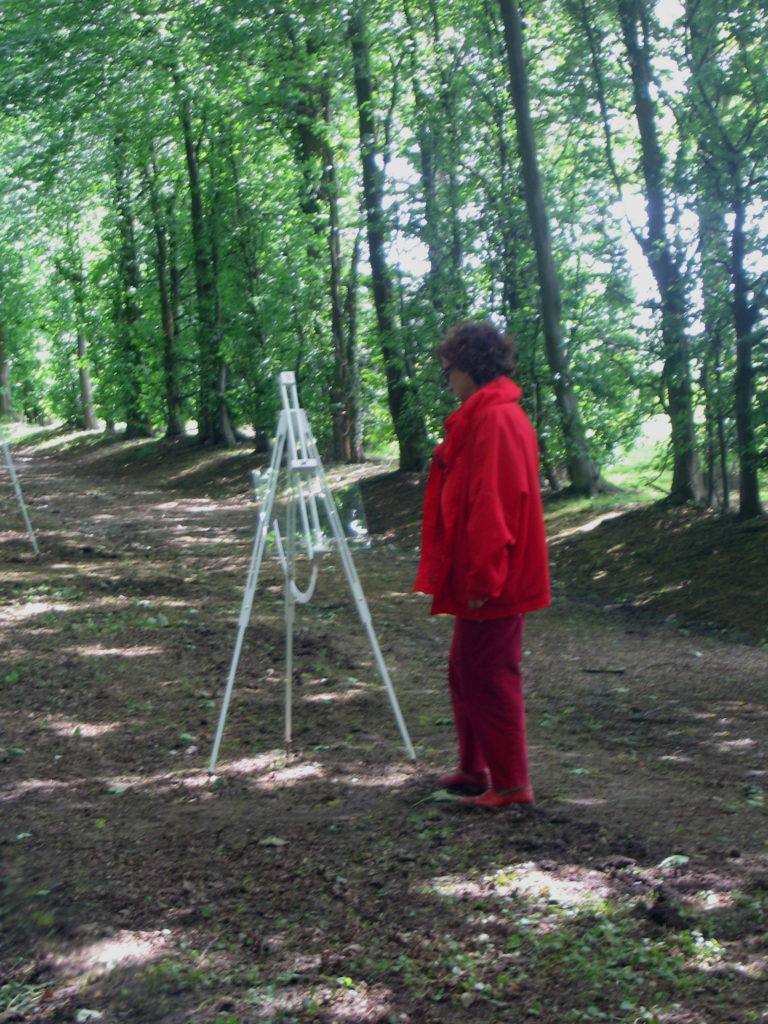 Pierre Courtois - Obscure clarté – installations in situ dans le parc du Château de Jehay (BE) Détail - 2006