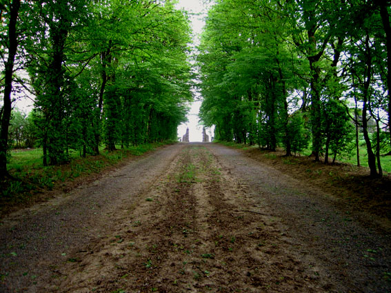 Pierre Courtois - Obscure clarté – installations in situ dans le parc du Château de Jehay (BE) - 2006